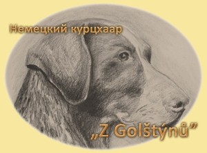 Logo chovatelské stanice Z Golštýnů_cz (Velký obrázek)