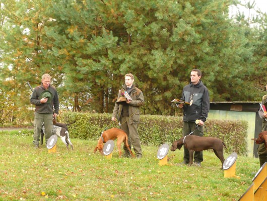 Ella z Golštýnů - ZV