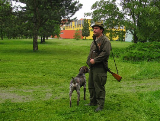 Zkoušky vloh v Nezamyslicích - hlavní