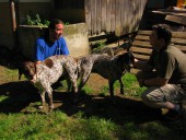 Krytí – Gora ze Žandovských vrchů X Udan z Cenklova