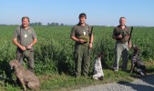 Podzimní zkoušky ohařů a malých plemen v Bedihošti - hlavní