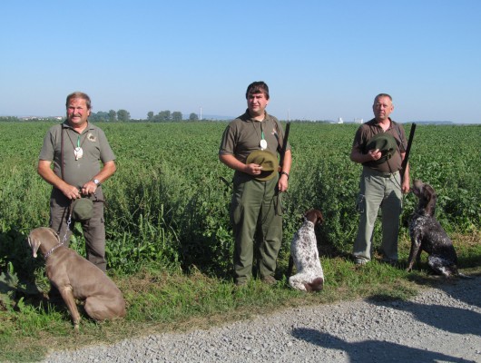 Podzimní zkoušky ohařů a malých plemen v Bedihošti - hlavní