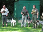 Podzimní zkoušky ohařů a malých plemen v Bedihošti 