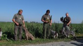 Podzimní zkoušky ohařů a malých plemen v Bedihošti 