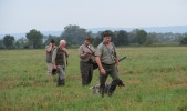 Podzimní zkoušky ohařů a malých plemen v Grygově - hlavní